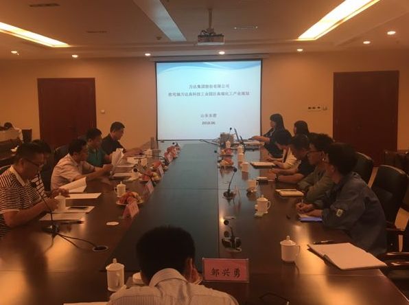 《萬達集團股份有限公司高端化工產(chǎn)業(yè)園發(fā)展規(guī)劃》專家評審會議順利完成